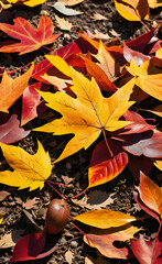 Autumn Leaves on the Ground