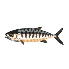 Simple flat 2D illustration of grilled mackerel saba shioyaki isolated on a white background, ai, flat 2d design, ideal for animation, UI/UX design, mobile apps, web design, digital illustrations
