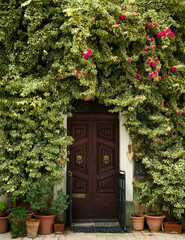Old cosy house door, Ancient maltese house with wooden door and pink bougainvillea flowers