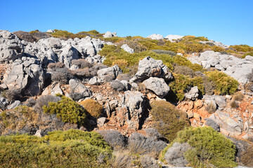 Rocky mountain landscape