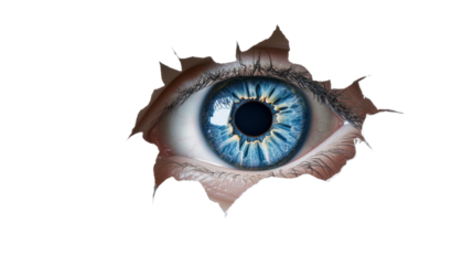 Pupil of the eye transparent background