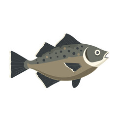 Simple flat 2D illustration of halibut isolated on a white background, ai, flat 2d design, ideal for animation, UI/UX design, mobile apps, web design, digital illustrations