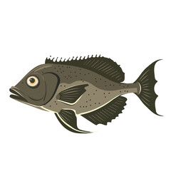Simple flat 2D illustration of halibut isolated on a white background, ai, flat 2d design, ideal for animation, UI/UX design, mobile apps, web design, digital illustrations