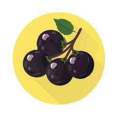 A simple flat 2D icon of Jabuticaba isolated on the background, vector design, ideal for animation, UI/UX design, mobile apps, web design, digital illustrations