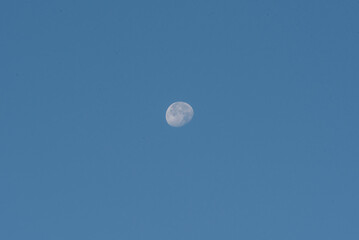 A Nearly Full Moon Setting In A Blue Dawn Sky In October In Wisconsin