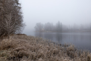 Misty winter morning by the lake with frosty grass and trees in a serene, remote location
