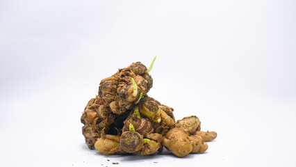 A cluster of fresh kencur roots, also known as aromatic ginger, with vibrant green sprouts, placed on a clean white background. Perfect for herbal, culinary, or organic themes.
