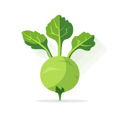 Simple flat 2D illustration of a kohlrabi isolated on a white background, vector 2D design, icon