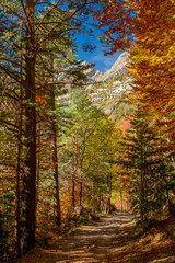 autumn in the National Park of Ordesa, Huesca.Spain