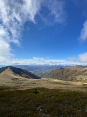 fog in forest in the mountains
