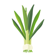 Simple flat 2D illustration of a leek isolated on a white background, vector 2D design, icon, flat 2d