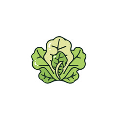 A simple flat 2D icon of lettuce isolated on a background, vector design, ideal for animation, UI/UX design, mobile apps, web design, digital illustrations