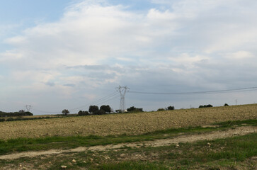 paesaggio rurale