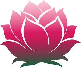 Obraz premium Colorful Lotus Flower Vector Illustration Design
