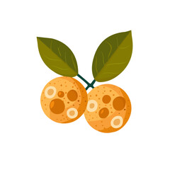 Simple flat 2D icon longan isolated on a transparent background, vector, flat design, animation design, vector, flat design, animation design, simple flat 2D icon design, vector