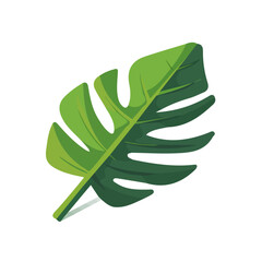 Simple flat 2D icon monstera leaves isolated on a transparent background, vector, flat design, animation design, vector, flat design, animation design, simple flat 2D icon, Ai