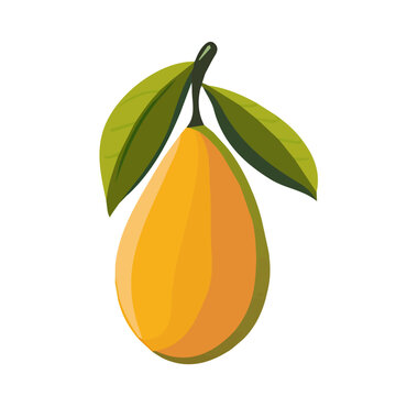 Simple flat 2D icon mangaba isolated on a transparent background, vector, flat design, animation design, vector, flat design, animation design, simple flat 2D icon