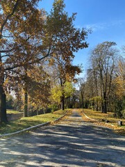 beautiful park in the city