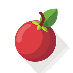 Simple flat 2D illustration of mangosteen isolated on a white background, ai, vector mangosteen icon set