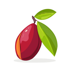 Simple flat 2D illustration of miracle fruit branch isolated on a white background, ai, vector miracle fruit branch icon set, simple design, design