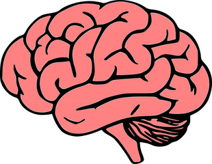 Human brain silhouette icon Simple view of head, human brain vector illustration in flat style. The human brain on a white background.
