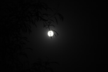Beautiful Full Moon, Purnima 