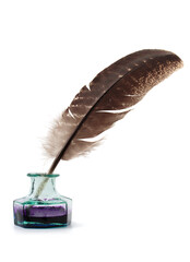 Feather and inkwell isolated on white background. Feather in inkwell. Calligraphy, old education, vintage fonts