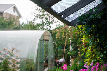 Raindrops over the greenhouse and garden in summer.