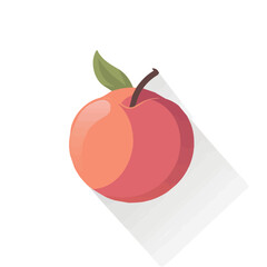 Simple flat 2D illustration of a peach isolated on a white background, vector 2D design, icon, flat 2d fruit set