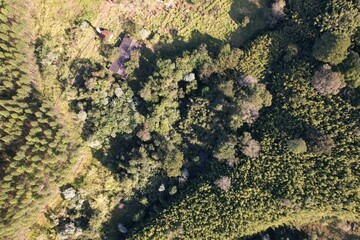 Vista aérea de vegetação em uma fazenda, com uso de drone