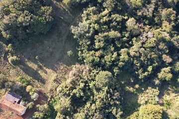 Imagem aérea de uma floresta tropical obtidas com uso de drone, no Brasil. © Ricardo_S_Levenhagen