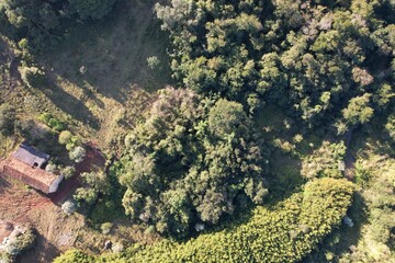 Imagem aérea de uma floresta tropical obtidas com uso de drone, no Brasil. © Ricardo_S_Levenhagen