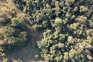 Imagem aérea de uma floresta tropical obtidas com uso de drone, no Brasil. © Ricardo_S_Levenhagen