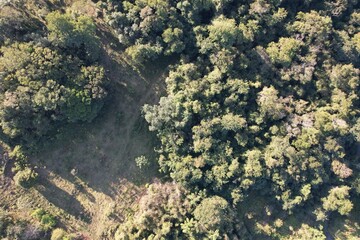 Imagem aérea de uma floresta tropical obtidas com uso de drone, no Brasil. © Ricardo_S_Levenhagen