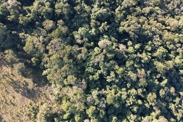Imagem aérea de uma floresta tropical obtidas com uso de drone, no Brasil. © Ricardo_S_Levenhagen