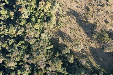 Imagem aérea de uma floresta tropical obtidas com uso de drone, no Brasil.