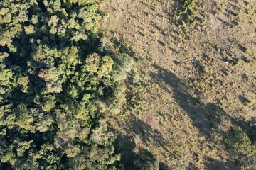 Imagem aérea de uma floresta tropical obtidas com uso de drone, no Brasil. © Ricardo_S_Levenhagen