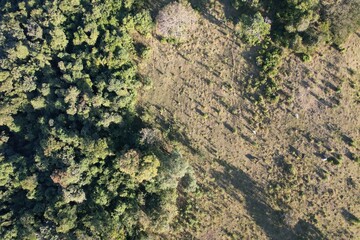 Imagem aérea de uma floresta tropical obtidas com uso de drone, no Brasil.