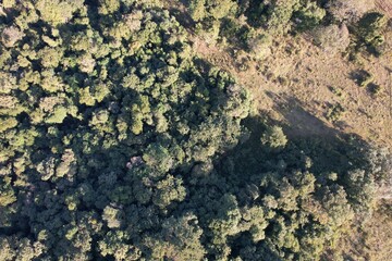 Imagem aérea de uma floresta tropical obtidas com uso de drone, no Brasil.