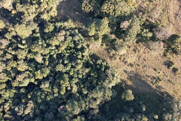 Imagem aérea de uma floresta tropical obtidas com uso de drone, no Brasil.