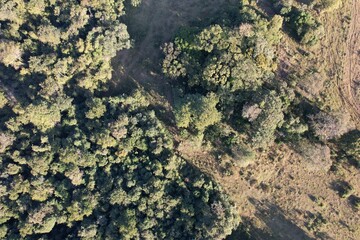 Imagem aérea de uma floresta tropical obtidas com uso de drone, no Brasil.