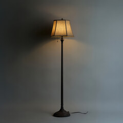 Classic Floor Lamp in Minimalist Room
