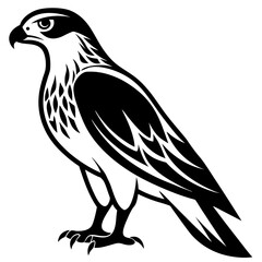 Fierce Majesty: Hawk in Full Glory vector silhouette 