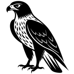 Fierce Majesty: Hawk in Full Glory vector silhouette 