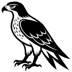Fierce Majesty: Hawk in Full Glory vector silhouette 