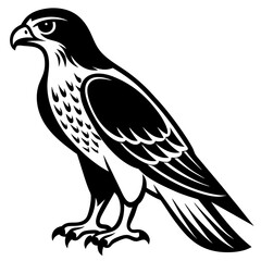 Fierce Majesty: Hawk in Full Glory vector silhouette 
