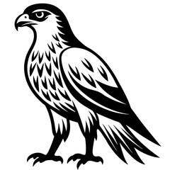 Fierce Majesty: Hawk in Full Glory vector silhouette 