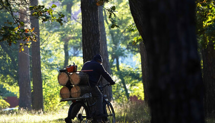 A man on a bicycle carries logs