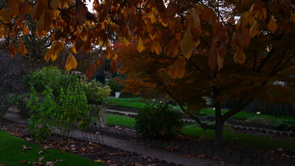 promenade dans un grand jardin publique parisien, avec de la nature florissante et de la végétation de toutes les couleurs d'automne, jaune, rouge et vert, fin de journée, grilles et pics limitation