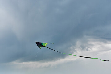Vibrant green and black kite soars against moody, overcast sky